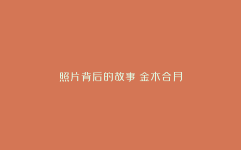 照片背后的故事｜金木合月