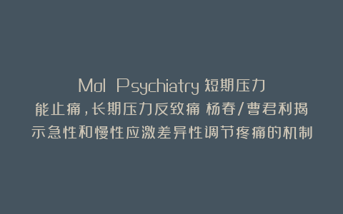 Mol Psychiatry丨短期压力能止痛，长期压力反致痛？杨春/曹君利揭示急性和慢性应激差异性调节疼痛的机制
