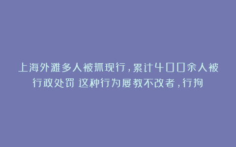 上海外滩多人被抓现行，累计400余人被行政处罚！这种行为屡教不改者，行拘→
