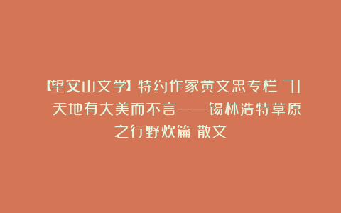 【望安山文学】特约作家黄文忠专栏（71）||天地有大美而不言——锡林浩特草原之行野炊篇（散文）