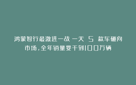 鸿蒙智行最激进一战：一天 5 款车砸向市场，全年销量要干到100万辆！