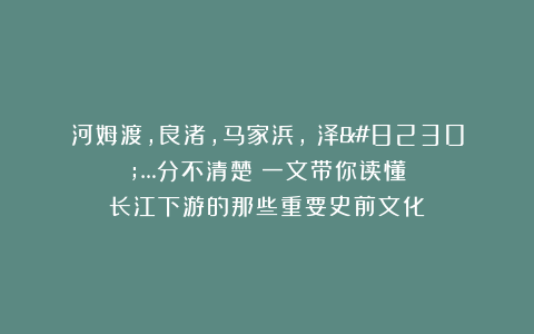 河姆渡，良渚，马家浜，崧泽……分不清楚？一文带你读懂长江下游的那些重要史前文化