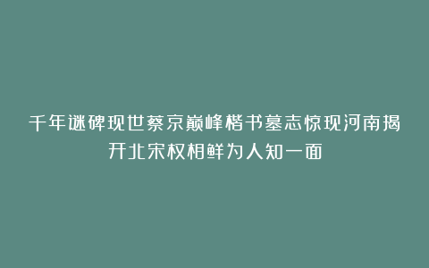 千年谜碑现世蔡京巅峰楷书墓志惊现河南揭开北宋权相鲜为人知一面