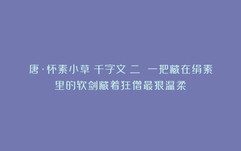 唐·怀素小草《千字文》二 一把藏在绢素里的软剑藏着狂僧最狠温柔