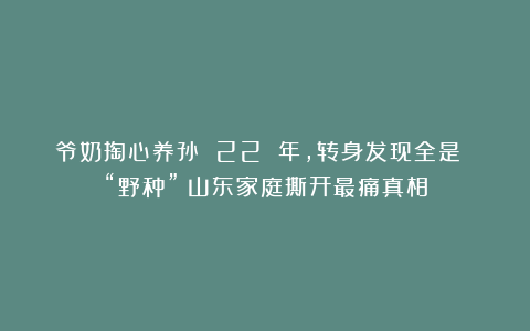 爷奶掏心养孙 22 年,转身发现全是 “野种”?山东家庭撕开最痛真相