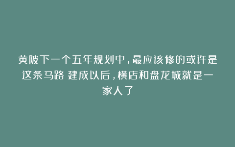 黄陂下一个五年规划中，最应该修的或许是这条马路！建成以后，横店和盘龙城就是一家人了