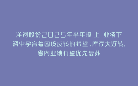 洋河股份2025年半年报（上）：业绩下滑中孕育着困境反转的希望，库存大好转、省内业绩有望优先复苏