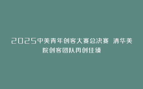 2025中美青年创客大赛总决赛 清华美院创客团队再创佳绩
