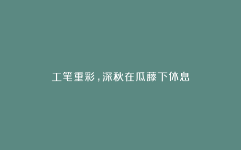 工笔重彩，深秋在瓜藤下休息