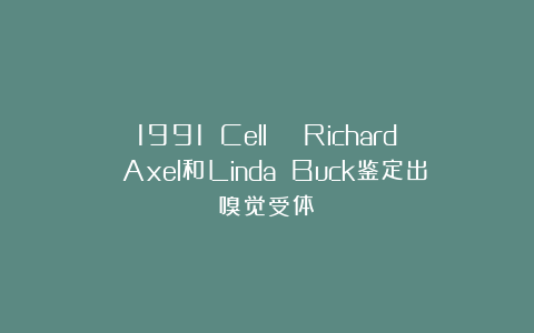 1991 Cell | Richard Axel和Linda Buck鉴定出嗅觉受体