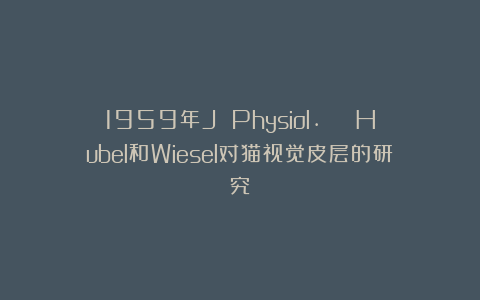 1959年J Physiol. | Hubel和Wiesel对猫视觉皮层的研究