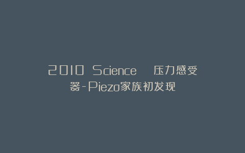 2010 Science | 压力感受器-Piezo家族初发现
