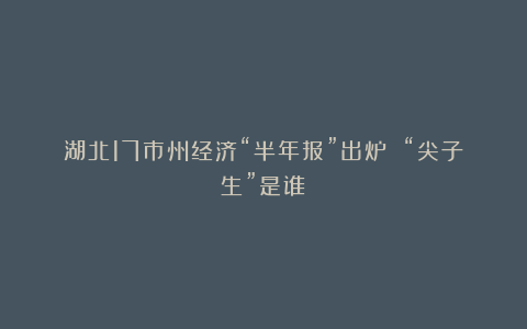 湖北17市州经济“半年报”出炉 “尖子生”是谁？