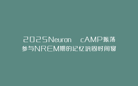 2025Neuron | cAMP振荡参与NREM期的记忆巩固时间窗