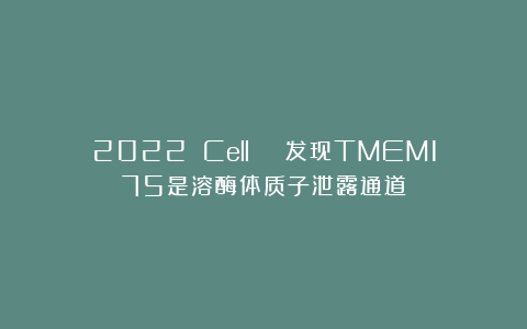 2022 Cell | 发现TMEM175是溶酶体质子泄露通道