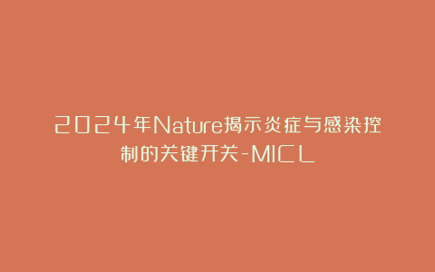 2024年Nature揭示炎症与感染控制的关键开关-MICL