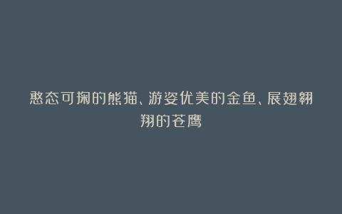 憨态可掬的熊猫、游姿优美的金鱼、展翅翱翔的苍鹰