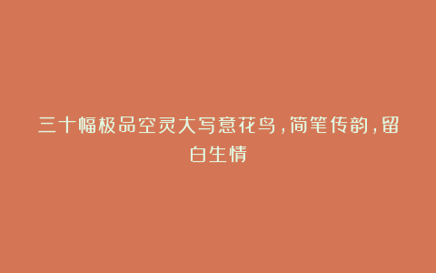 三十幅极品空灵大写意花鸟，简笔传韵，留白生情！