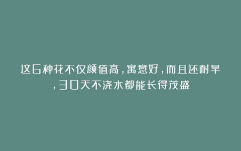 这6种花不仅颜值高，寓意好，而且还耐旱，30天不浇水都能长得茂盛