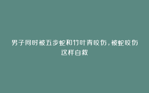 男子同时被五步蛇和竹叶青咬伤，被蛇咬伤这样自救→