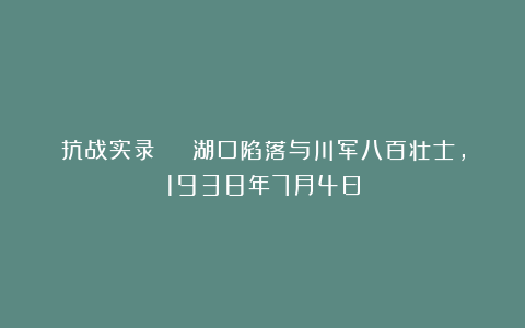 抗战实录 | 湖口陷落与川军八百壮士，1938年7月4日