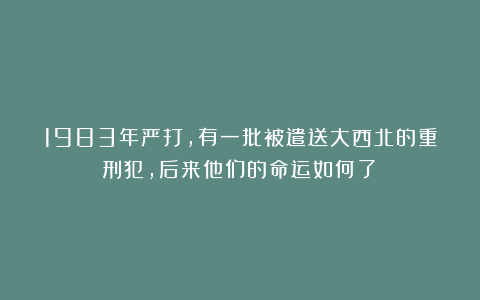 1983年严打，有一批被遣送大西北的重刑犯，后来他们的命运如何了？