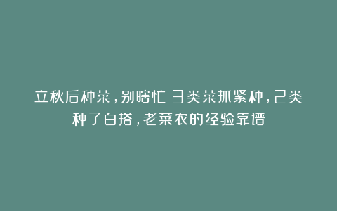 立秋后种菜，别瞎忙！3类菜抓紧种，2类种了白搭，老菜农的经验靠谱