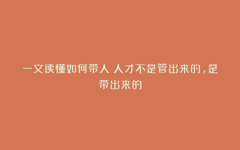 一文读懂如何带人：人才不是管出来的，是带出来的