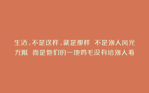 生活，不是这样，就是那样 不是别人风光无限 而是他们的一地鸡毛没有给别人看