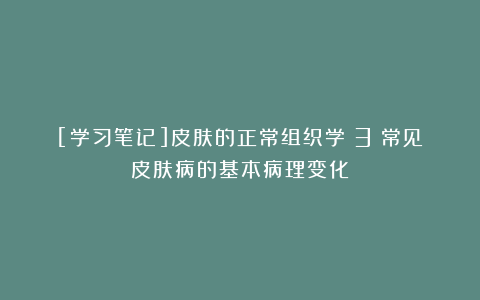 [学习笔记]皮肤的正常组织学（3）常见皮肤病的基本病理变化