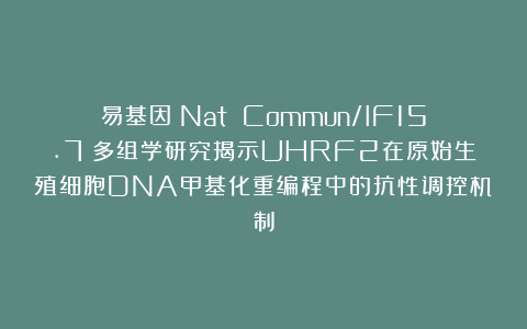 易基因：Nat Commun/IF15.7：多组学研究揭示UHRF2在原始生殖细胞DNA甲基化重编程中的抗性调控机制