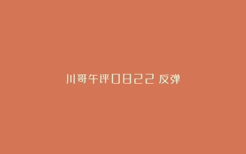 川哥午评0822：反弹