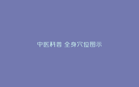 中医科普：全身穴位图示