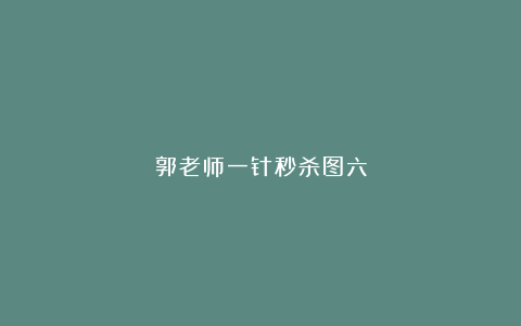 郭老师一针秒杀图六