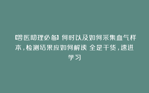 【兽医助理必备】何时以及如何采集血气样本，检测结果应如何解读？全是干货，速进学习！