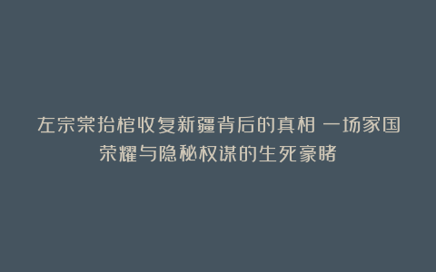左宗棠抬棺收复新疆背后的真相：一场家国荣耀与隐秘权谋的生死豪睹
