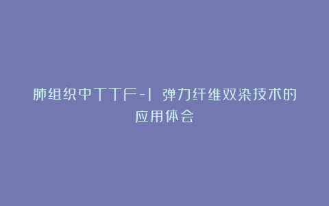 肺组织中TTF-1 弹力纤维双染技术的应用体会