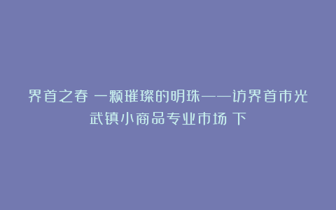 界首之春丨一颗璀璨的明珠——访界首市光武镇小商品专业市场（下）