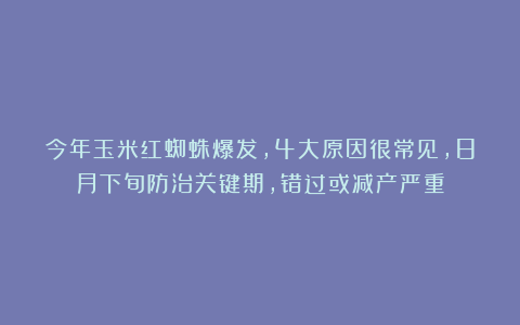 今年玉米红蜘蛛爆发，4大原因很常见，8月下旬防治关键期，错过或减产严重