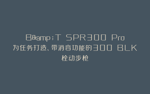 B&T SPR300 Pro：为任务打造、带消音功能的300 BLK栓动步枪
