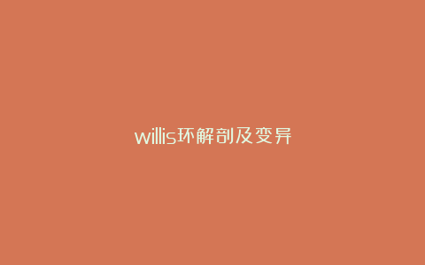 willis环解剖及变异