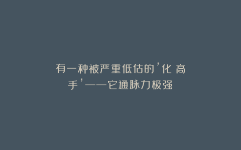 有一种被严重低估的’化瘀高手’——它通脉力极强！