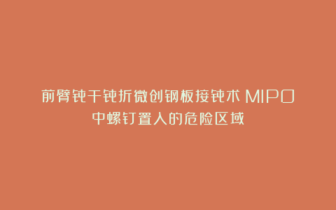 前臂骨干骨折微创钢板接骨术（MIPO）中螺钉置入的危险区域