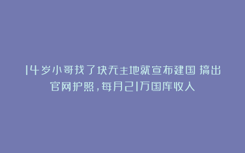 14岁小哥找了块无主地就宣布建国？搞出官网护照，每月21万国库收入！