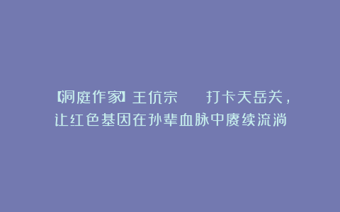 【洞庭作家】王伉宗 || 打卡天岳关，让红色基因在孙辈血脉中赓续流淌