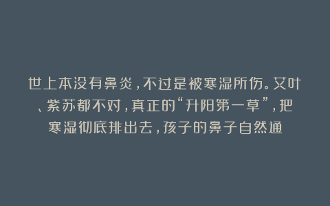 世上本没有鼻炎，不过是被寒湿所伤。艾叶、紫苏都不对，真正的“升阳第一草”，把寒湿彻底排出去，孩子的鼻子自然通