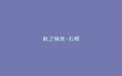 秋之硕果–石榴