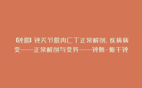 【骨肌】骨关节肌肉CT正常解剖、疾病病变——正常解剖与变异——骨骼-躯干骨