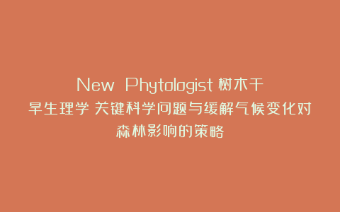 New Phytologist丨树木干旱生理学：关键科学问题与缓解气候变化对森林影响的策略