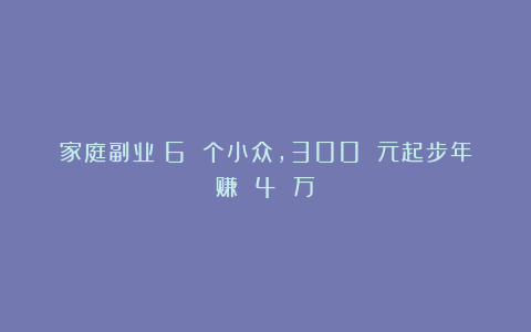 家庭副业：6 个小众，300 元起步年赚 4 万